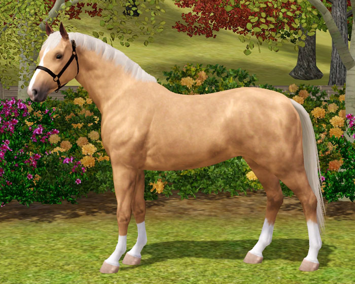 GOS Honey and Clover - Golden Orchard Stables